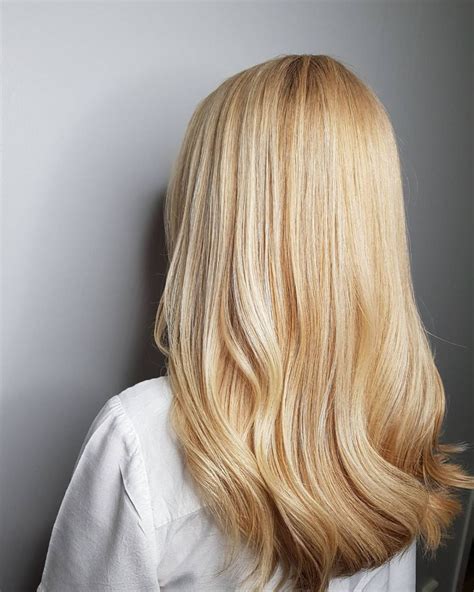 Honey Blonde Hair Color: Definition and Overview