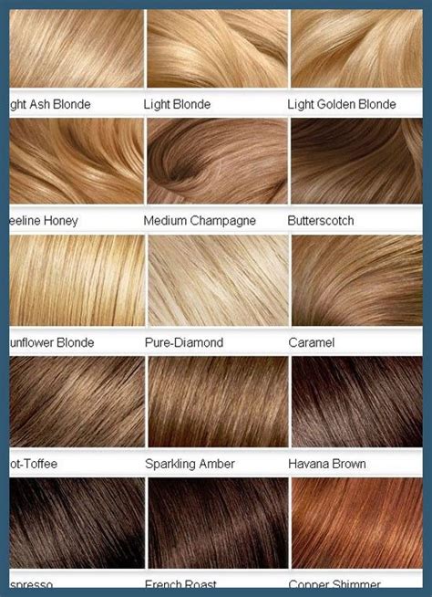 Honey Blonde Hair Color Chart