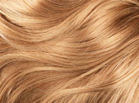 Honey Blonde Hair Dye: A Symphony of Shades