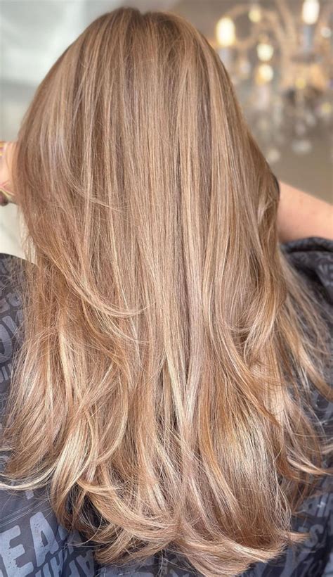 Honey Blonde with Highlights: A Blonde Ambition Guide to a Dreamy Hair Transformation