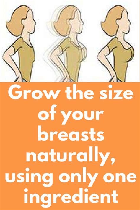 Honey Juggs: An Essential Guide to Understanding and Improving Breast Growth