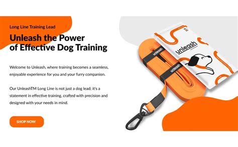 Honeybunfree: Unleash the Power of Dog Training