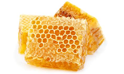 Honeycomb: 50 Fascinating Facts That Will Sweeten Your Day