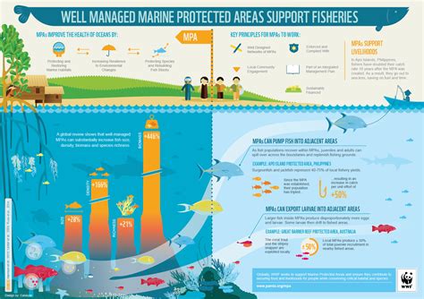 Honolulu Harbor Fishery Management Area: Rebuilding a Thriving Marine Ecosystem