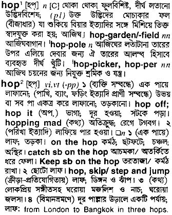 Hop Bengali Meaning: Dive into a Linguistic Adventure