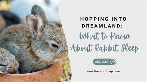 Hopping into the Realm of Rabbit Ears and Tails: Lessons, Strategies, and Stories