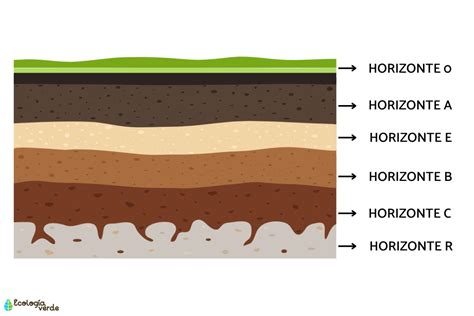 Horizontes Epub