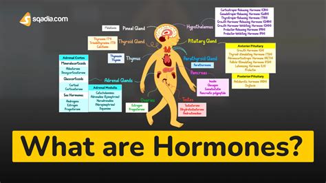 Hormones Epub