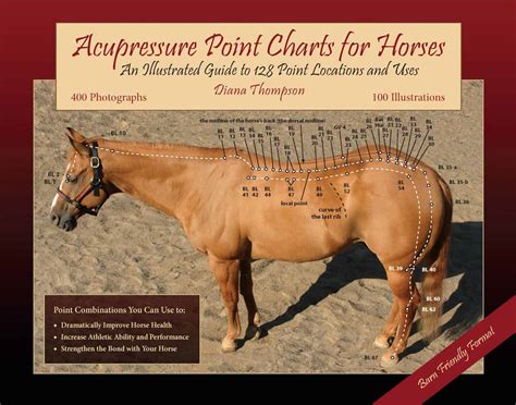 Horse Acupuncture Points Ebook PDF