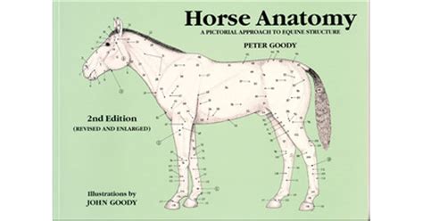 Horse Anatomy: A Pictorial Approach to Equine Structure Doc