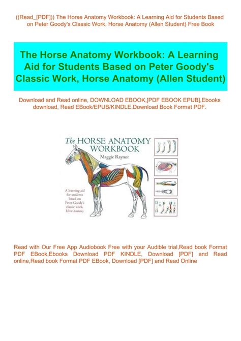 Horse Anatomy Workbook Learning Students PDF