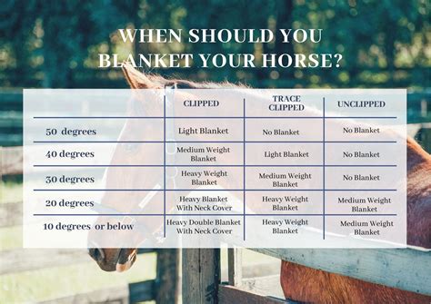 Horse Blanket Fill Chart