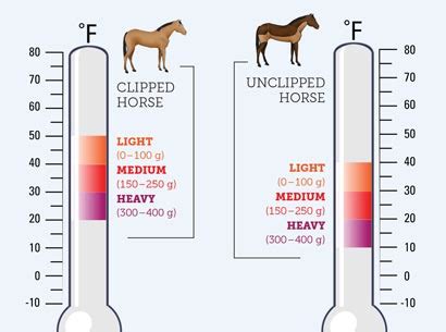Horse Blanket Temperature Chart
