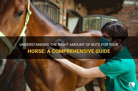 Horse Bute: A Comprehensive Guide to Safe and Effective Use