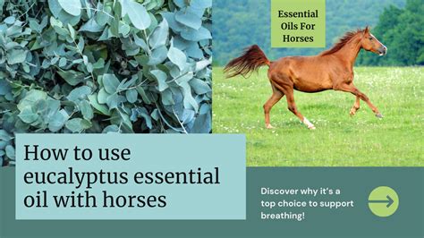 Horse Cumin: The Essential Guide to Unlocking Timeless Traditions