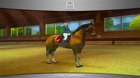 Horse Games on the Wii: A Galloping Guide to Equestrian Delights