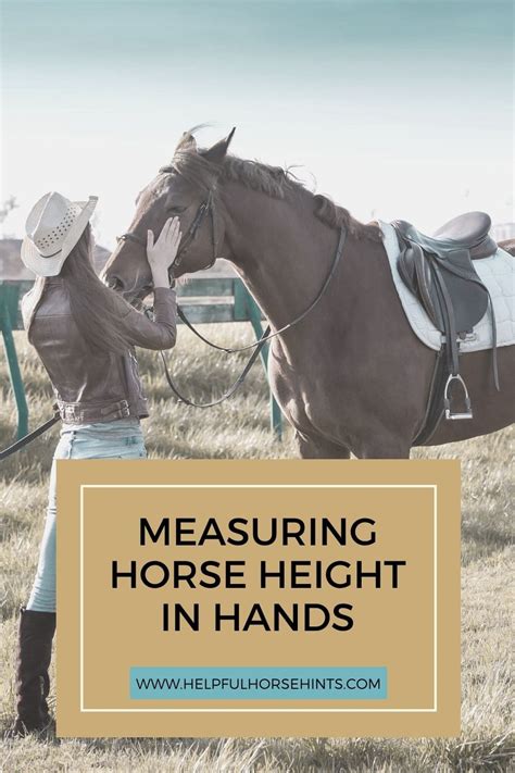 Horse Hands in Inches: The Ultimate Guide