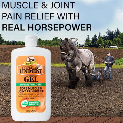 Horse Liniment for Humans: A Revolutionary Remedy for Pain Relief