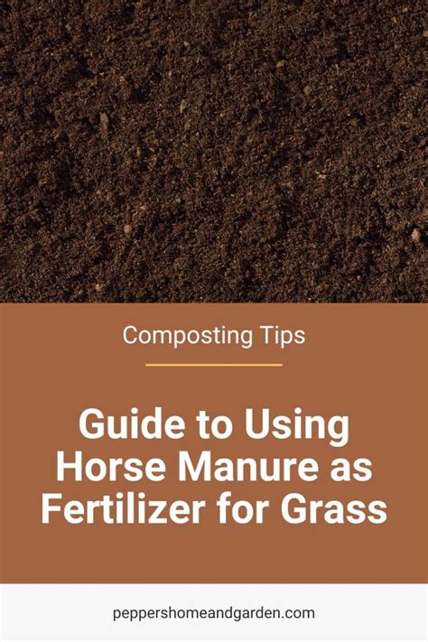 Horse Manure as Fertilizer: A Guide to 10,000 Uses