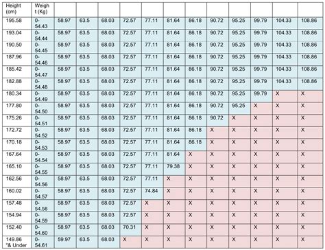 Horse Rider Weight Chart