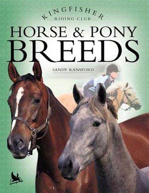 Horse and Pony Breeds Kingfisher Riding Club Kingfisher Riding Club Reader