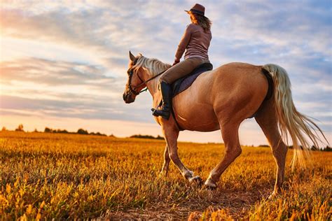 Horseback Riding