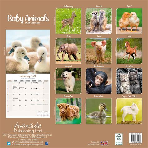 Horses 2016 Weekly Calendar Planner Animal Calendar Planners 2016 Volume 3 Doc