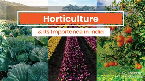 Horticultural Importance