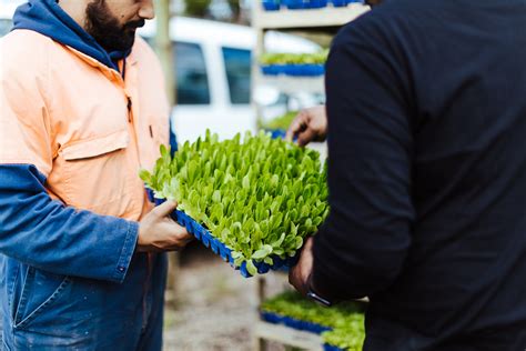 Horticulture Managers: