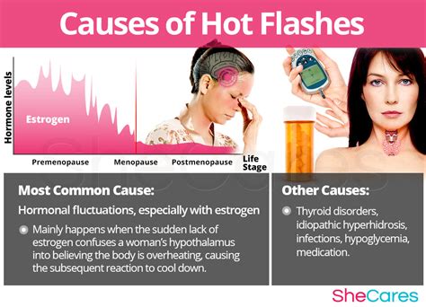 Hot Flashes, Hormones & Your Health Breakthrough Findings to Help You Sail Through Menopause PDF