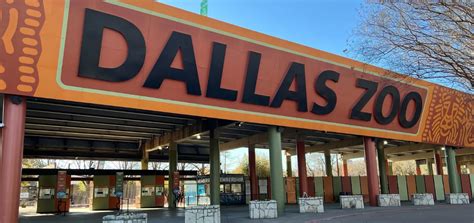 Hotels Close to Dallas Zoo: Your Ultimate Guide to a Wild Getaway