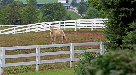 Hotels Near Kentucky Horse Park: A Guide to the Top 10 Stays