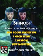 Hotsuma Shinobi: Unveiling the Secrets of the Shadow Warriors