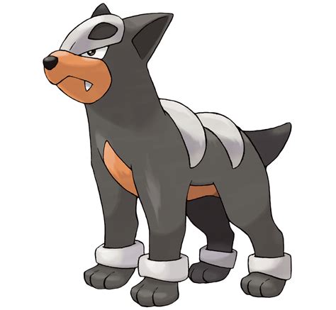 Houndor: The Ultimate Guide to the Infernal Dog Pokémon