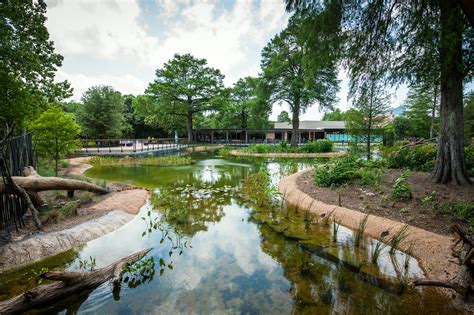 Houston Zoo Hotels Near: Your Ultimate Guide to a Wildlife Escape