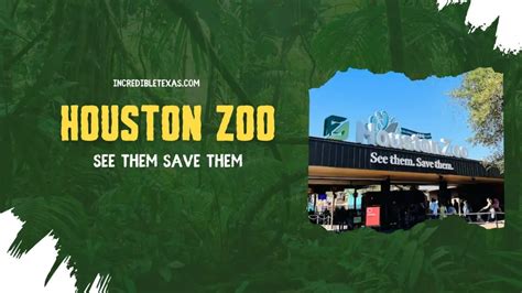 Houston Zoo Tickets Price For 2023: Get Ready For Discounts