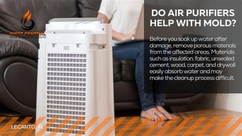 How Air Purifiers Can Help with Mold Remediation