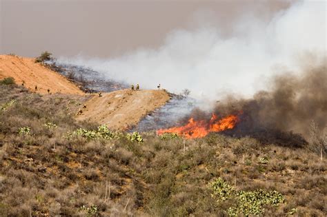 How Are Grass Lands Maintained by Fire: A Detailed Guide