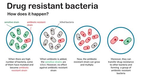 How Bacteria Develop Antibiotic Resistance: 2025 and Beyond