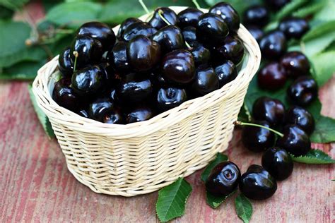 How Black Cherries Earned Their Colourful Name