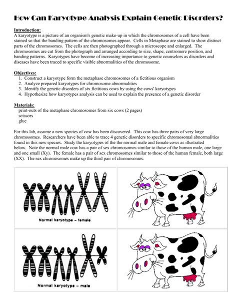 How Can Karyotype Analysis Explain Genetic Disorders Answer Key Doc