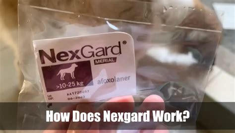 How Does Nexgard Work?