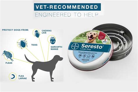 How Does Seresto Work?