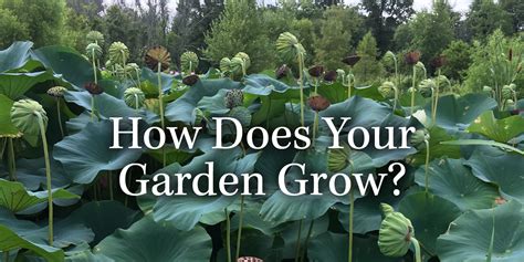 How Does Your Garden Grow? (Wisdom of Nature Series) Kindle Editon