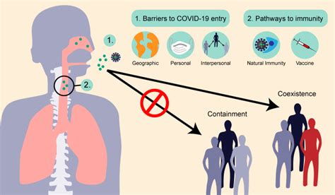 How Does the Wuhan Virus Spread: A Comprehensive Guide to Transmission Pathways