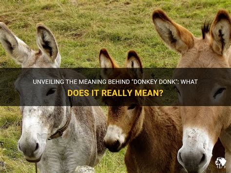 How Donkey Donk is Revolutionizing the Way We Donk