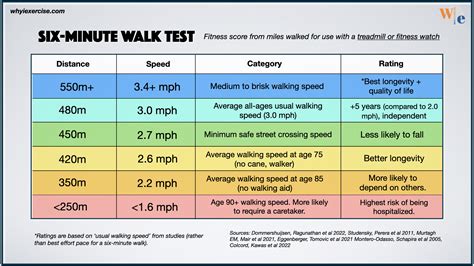 How Far Can You Walk in 2025: 6 Minutes VS 2022