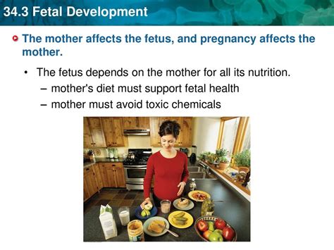 How Fetus Gets Nutrition From Mother: A Comprehensive Guide to the 2025 Wonders of Pregnancy