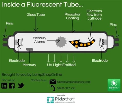 How Fluorescence Works