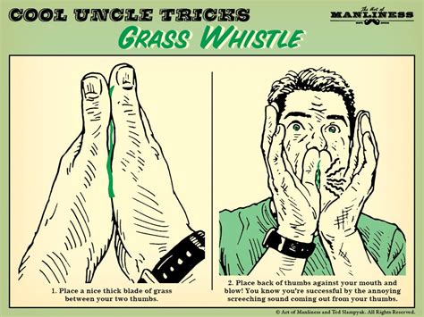 How Grass Whistle Works